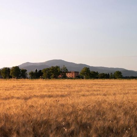 Agriturismo Il Pescinone Venturina Terme Exterior photo