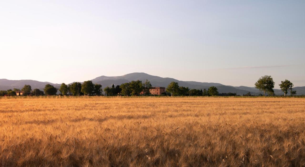 Agriturismo Il Pescinone Venturina Terme Exterior photo
